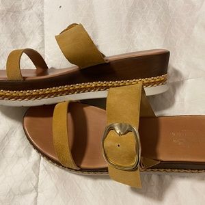 Coach and Four. Size 10.